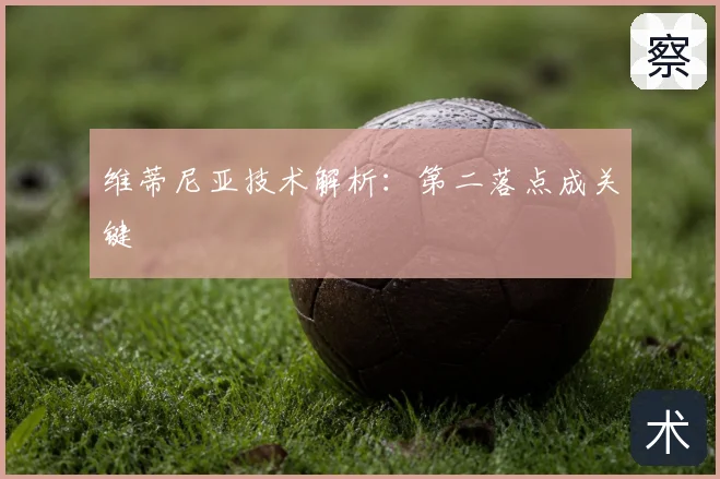 维蒂尼亚技术解析:第二落点成关键